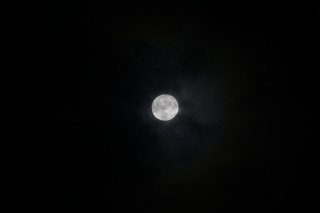 Luna, Torrepaduli - Ruffano (LE), Puglia, Italia © Marco