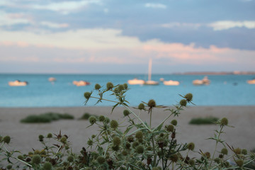 COUCHER DE SOLEIL ILE DE RE