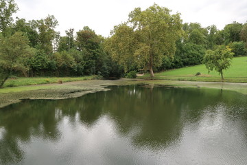 Fototapeta na wymiar Saint-Jean-Le-Priche pond