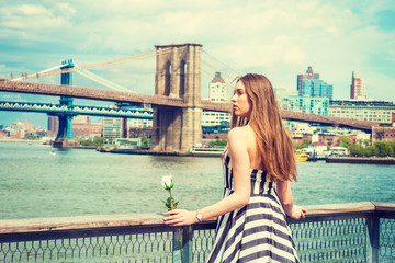 Young Woman missing you, waiting for you, holding white rose, wearing black, white striped dress, standing by fence at harbor in New York, looking away. Manhattan, Brooklyn bridges on background..