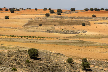 Obraz premium La Serriana du Cuenca, in the Spanish province of Castilla and Mancha
