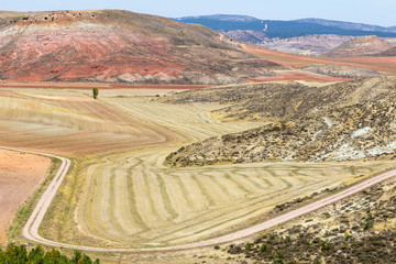 La Serriana du Cuenca, in the Spanish province of Castilla and Mancha