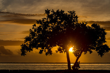 Sonnenaufgang Sansibar, Tansania