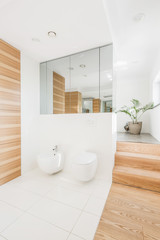 Fototapeta na wymiar Bright and spacious bathroom interior