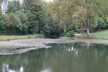 Saint-Jean-Le-Priche pond
