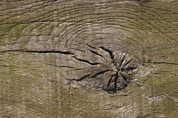 Weathered Wooden Surface