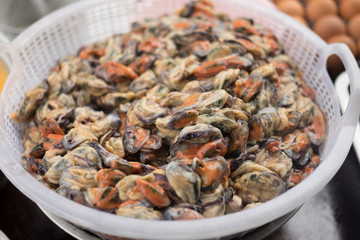 Many raw mussel prepare for cook is mussel pancakes