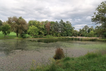 Saint-Jean-Le-Priche pond