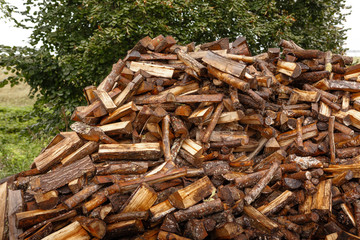 Pile of firewood. Preparation of firewood for the winter.