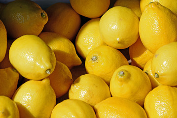 Frische Zitronen auf dem Wochenmarkt