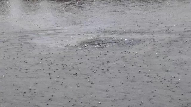  Showing Whirlpool of rain water causing sewage-overflow problems in the  city streets drains as cars drive though it.