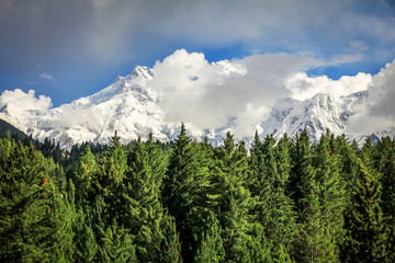 Alpenbos met Nanga Parbat-berg