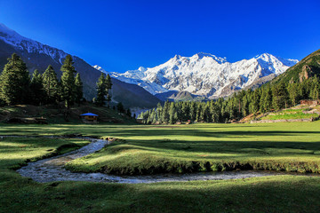 Fairy Meadows - Pakistan 