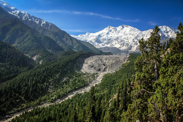 Fototapeta na wymiar Nanga parbat peak with glacier 