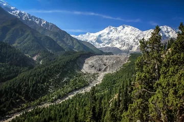 Deurstickers Nanga Parbat Nanga parbat piek met gletsjer