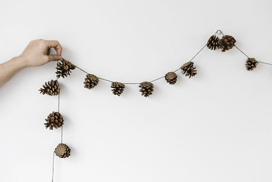 Pinecones on a string against white wall