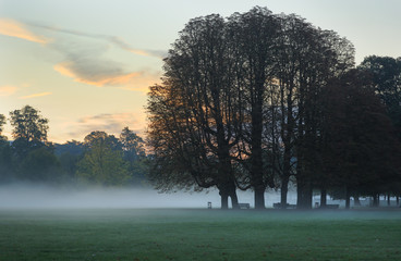 A foggy, autumn dawn in a park. Lyon, France.