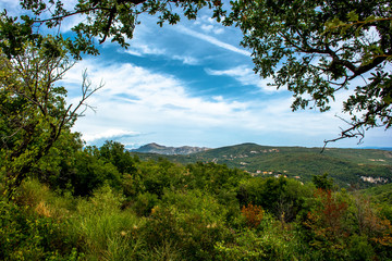 Fototapeta na wymiar Mediterrane Landschaft in Kroatien in der Nähe von Rabac