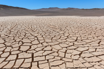 Dry cracked earth, Atacama, Chile