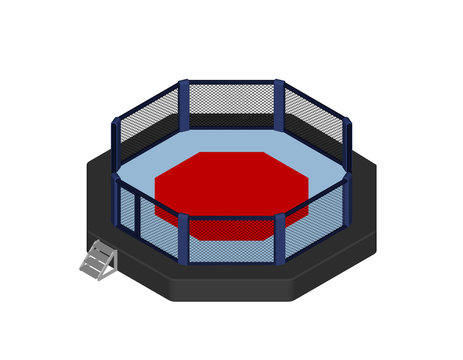 Octagon fight cage. Isolated on white background. 3d Vector illustration.