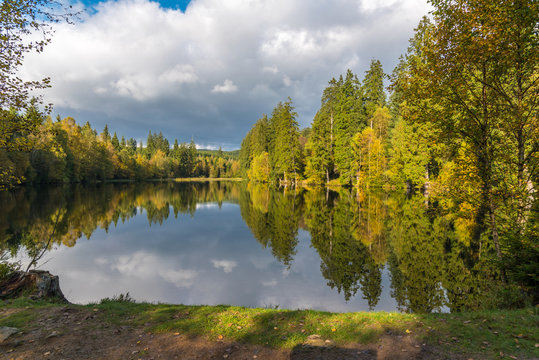 Der Silberteich im Oberharz im Abendlicht - der Herbst beginnt - nahe Braunlage