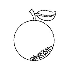 orange citrus fresh fruit vitamin nutrition