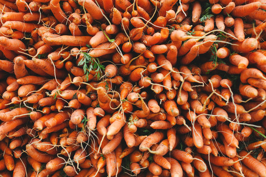 Bunch of carrots on an organic market.