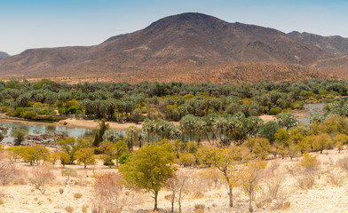 Fototapeta na wymiar Fluss Kunene in Epupa an der namibischen Grenze zu Angola, Namibia