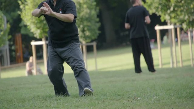 Tai chi slowmotion in nature