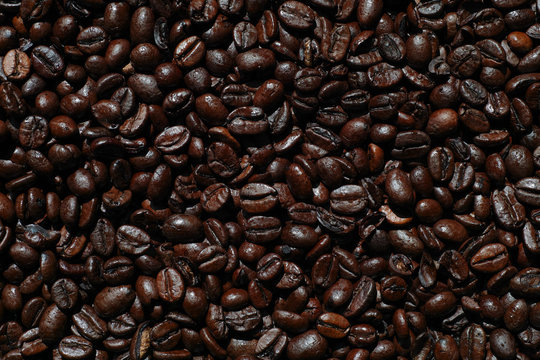 Close-up of dark roasted coffee beans