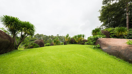 Beautiful green golf  and meadow at the park
