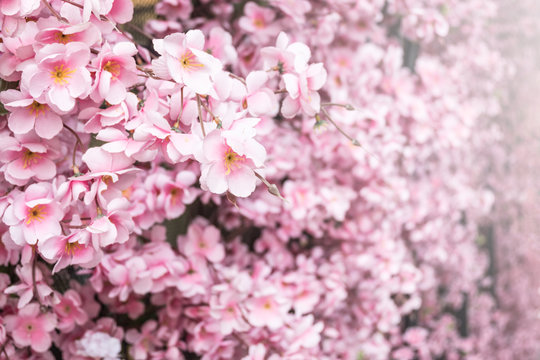 Close up artificial sakura flower for decorating japanese style , image has shallow depth of field