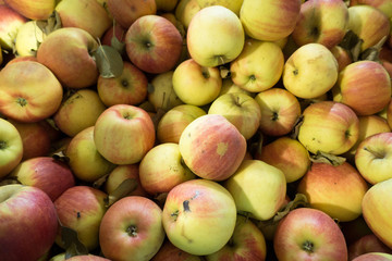 Äpfel