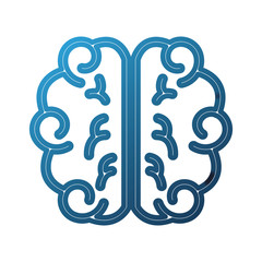 brain school knowledge thinking science study