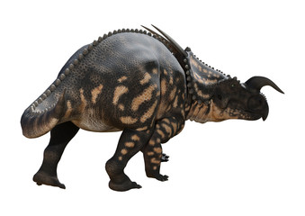 3D Rendering Dinosaur Einiosaurus on White