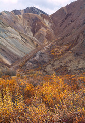 Eroding ravine covered with brush and gravel in the fall.