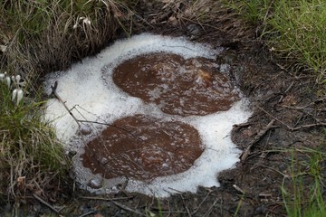 Fumarole
