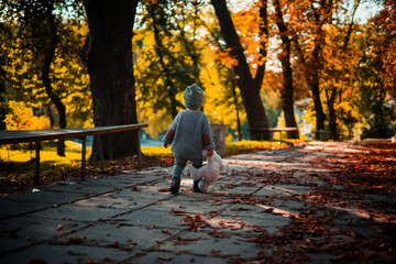 a little boy in a gray knitted sweater with a gray teddy bear walking along the autumn park