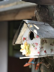 Little Birdhouse