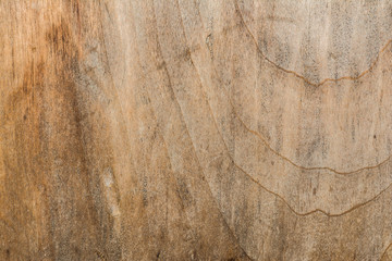 wood texture very old oak, the rough wood is not uniform