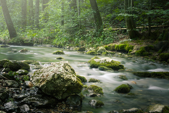Beautiful forest stream in blurred motion