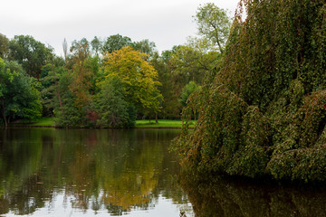 Fototapeta na wymiar beautiful landscape with a lake