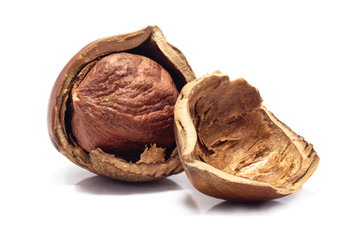 Ripe cracked brown hazelnuts isolated on white background. Close up macro.