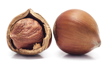 Ripe cracked brown hazelnuts isolated on white background. Close up macro.
