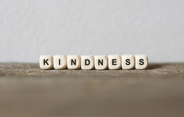 Word KINDNESS made with wood building blocks