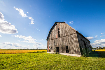 Obraz premium old barn and field 