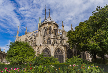Fototapeta na wymiar Notre Dame de Paris cathedral - France
