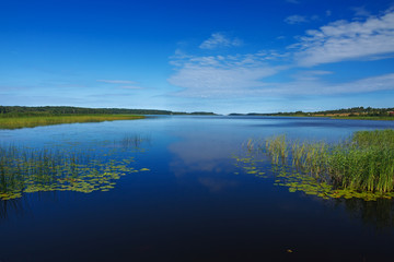Panoramic view of the smooth surface of the lake with vegetation