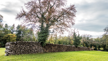 Brennholzlager im Herbst © focus finder