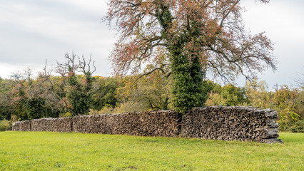 Brennholzlager im Herbst © focus finder